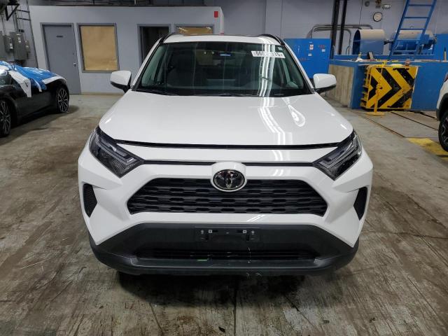 TOYOTA RAV4 XLE 2024