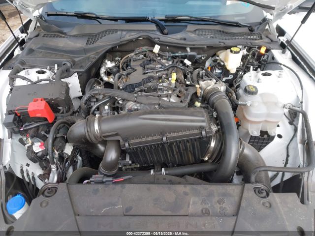 FORD MUSTANG ECOBOOST PREMIUM FASTBACK 2024