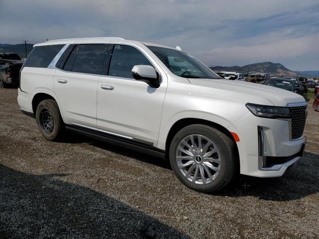 CADILLAC ESCALADE 2023