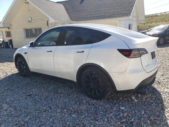 TESLA MODEL Y 2020
