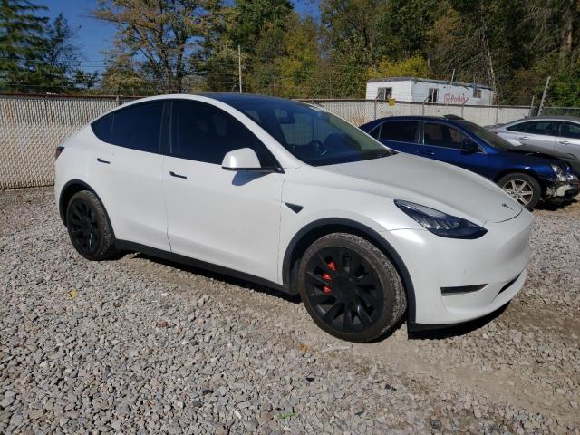 TESLA MODEL Y 2020