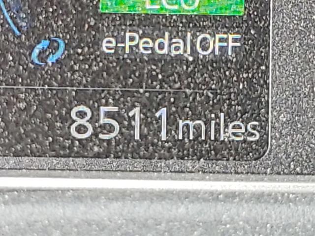 NISSAN LEAF S PLUS 2019
