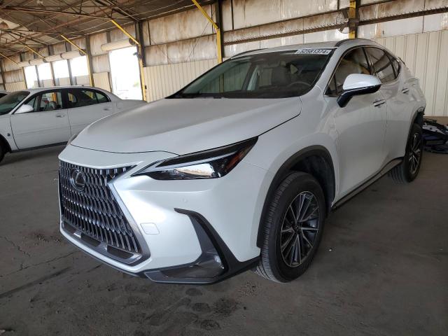 LEXUS NX 350H 2024