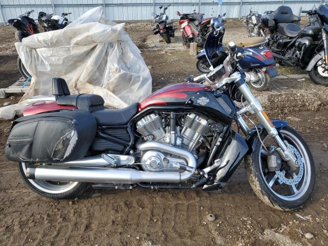 HARLEY-DAVIDSON VRSCF VROD MUSCLE 2016
