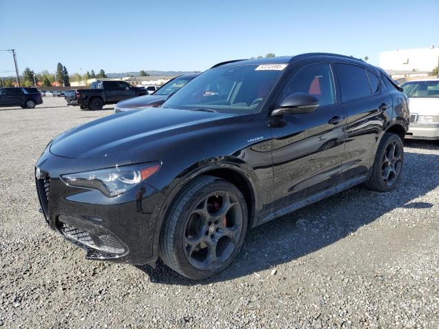 ALFA ROMEO STELVIO TI 2024