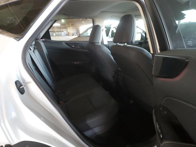 LEXUS NX 350H 2024