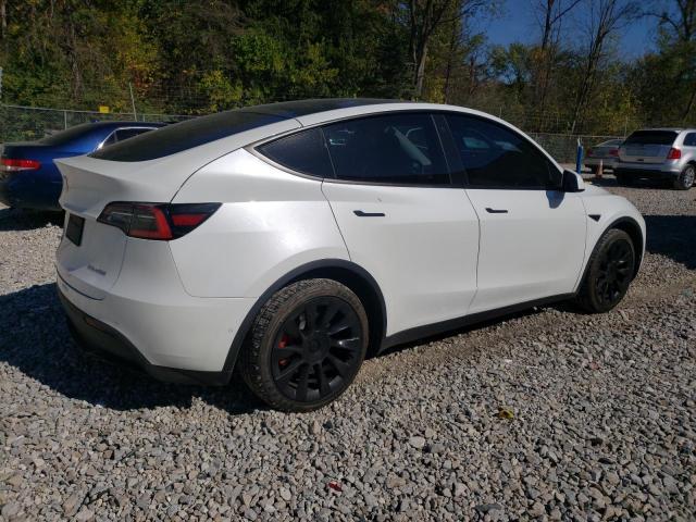 TESLA MODEL Y 2020