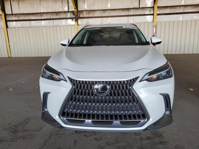LEXUS NX 350H 2024