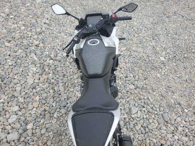 SUZUKI GSX800 2024