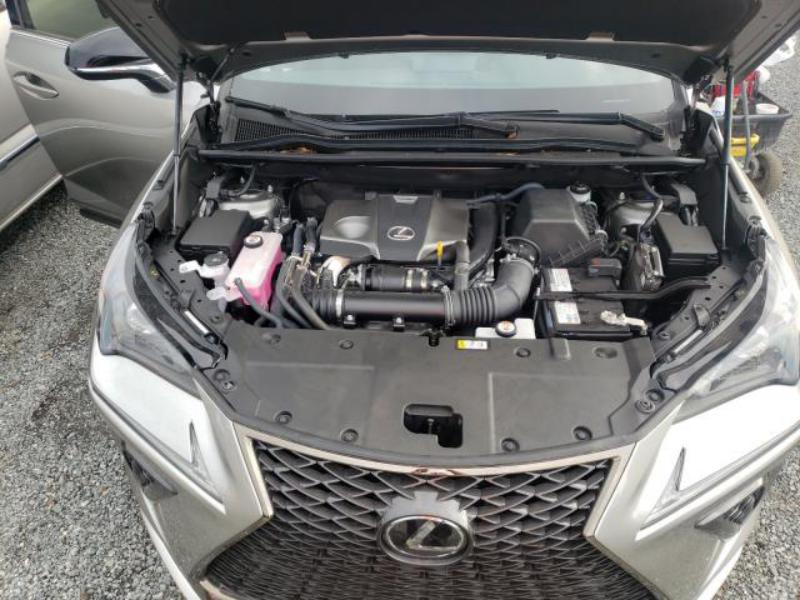 2020 LEXUS NX 300 F-SPORT