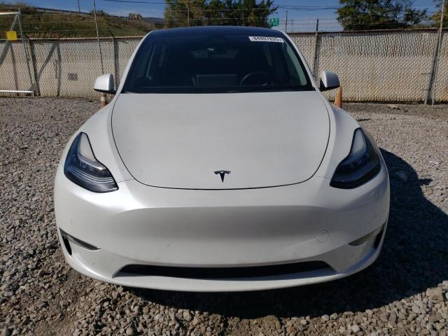 TESLA MODEL Y 2020