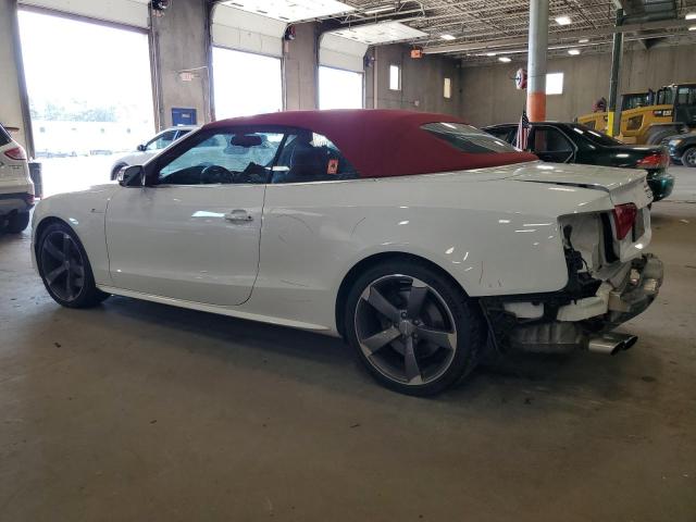 AUDI S5 2017