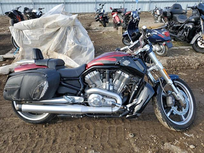 HARLEY-DAVIDSON VRSCF VROD MUSCLE 2016