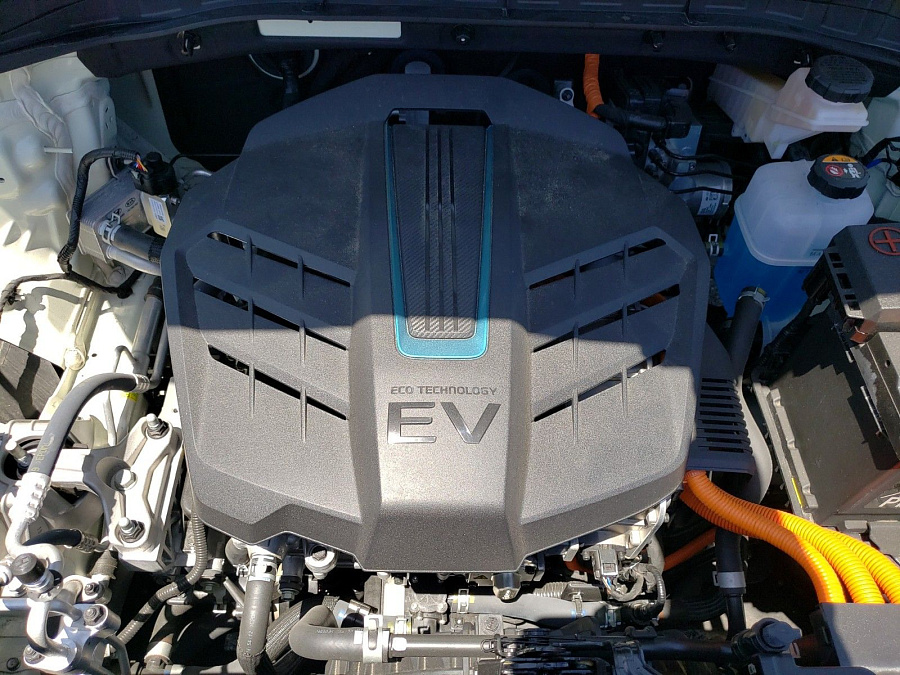 KIA NIRO EV EX 2019