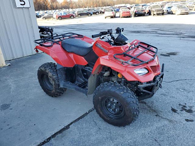 SUZUKI LT-A400 F 2020